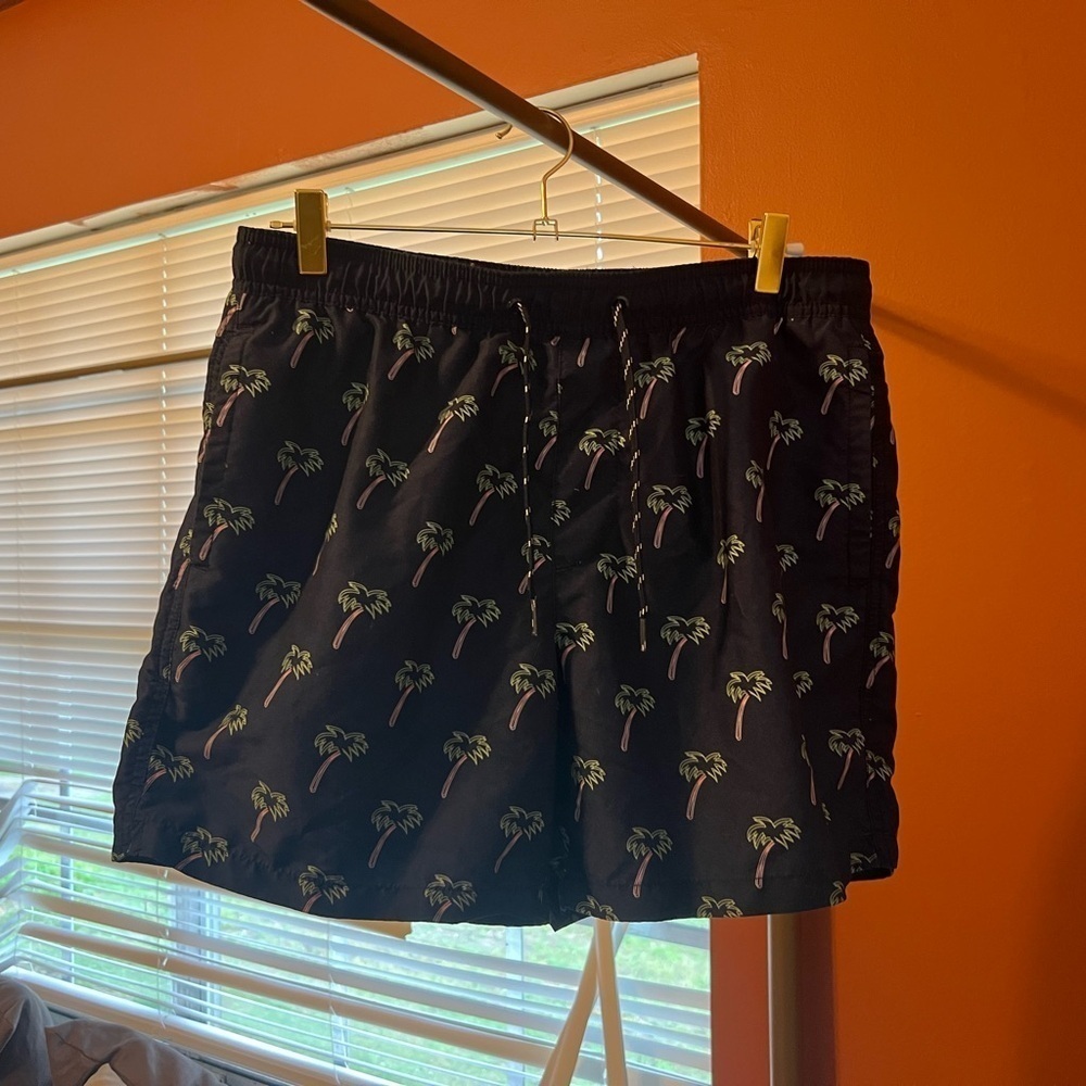 AE Swim Trunks